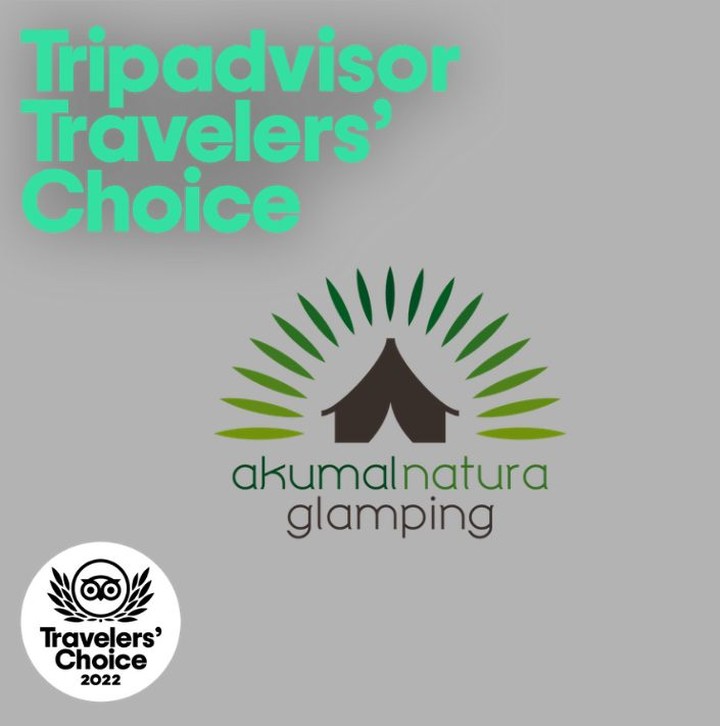 Hemos sido elegidos con el premio Travellers’ Choice 2022 de Tripadvisor . 
Estamos orgullosos de nuestro trabajo y seguimos mejorando para vosotros. 
Garcias a Tod@s. !!! 
#TravelersChoice #travelerschoice2022