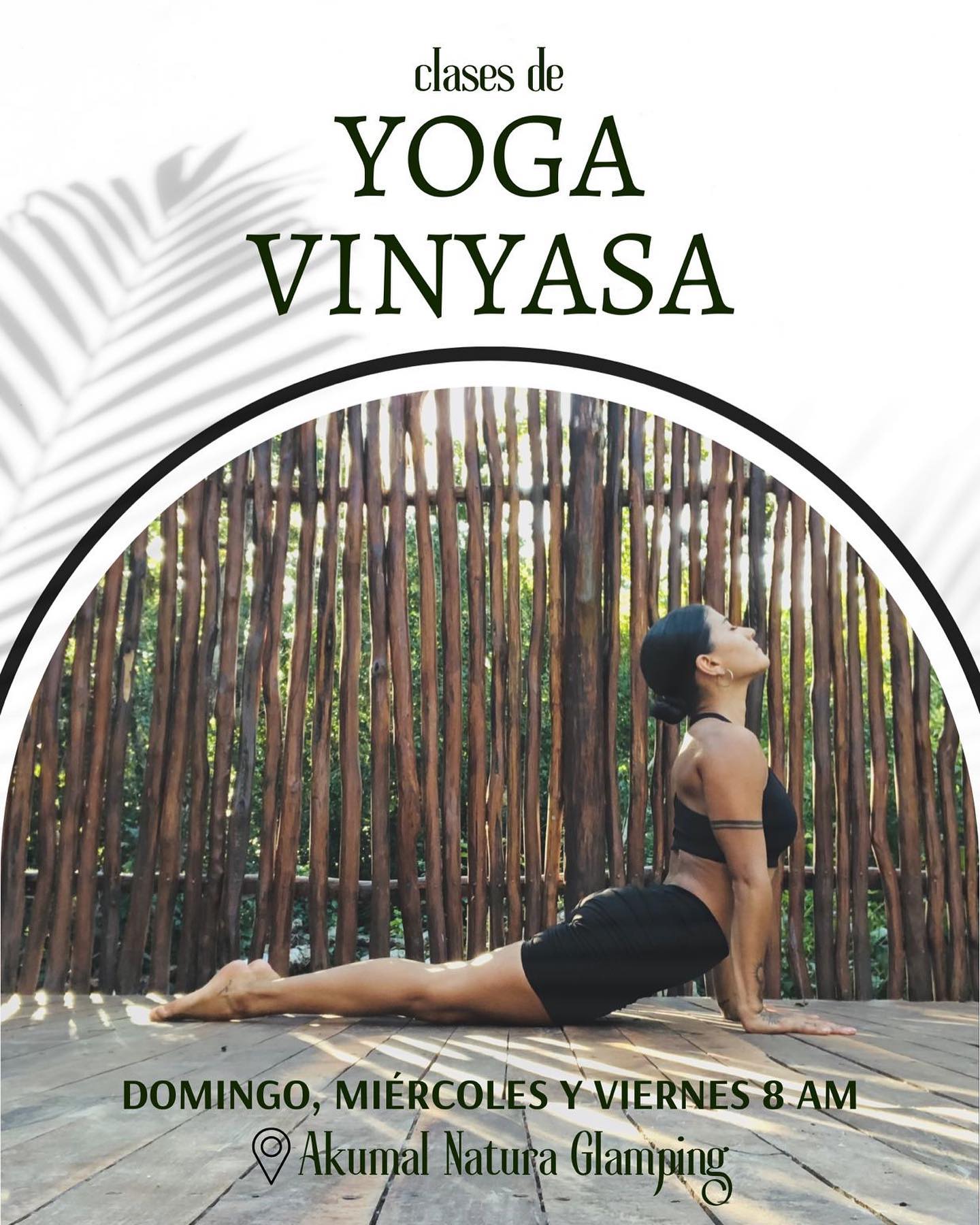Yoga Vinyasa ✨

En esta clase iremos haciendo un recorrido desde la quietud y la escucha activa del cuerpo, hasta el movimiento fluido de asanas (posturas) de yoga, creando sincronía entre respiración y movimiento.

A través del registro de las sensaciones, flexibilizamos, habilitamos y fortalecemos nuestro cuerpo físico, entrando en coherencia con nuestra mente y nuestro espíritu. 

Reserva: reservations@akumalnatura.com 

.
#yoga #yogavinyasa #wellness #yogaenakumal