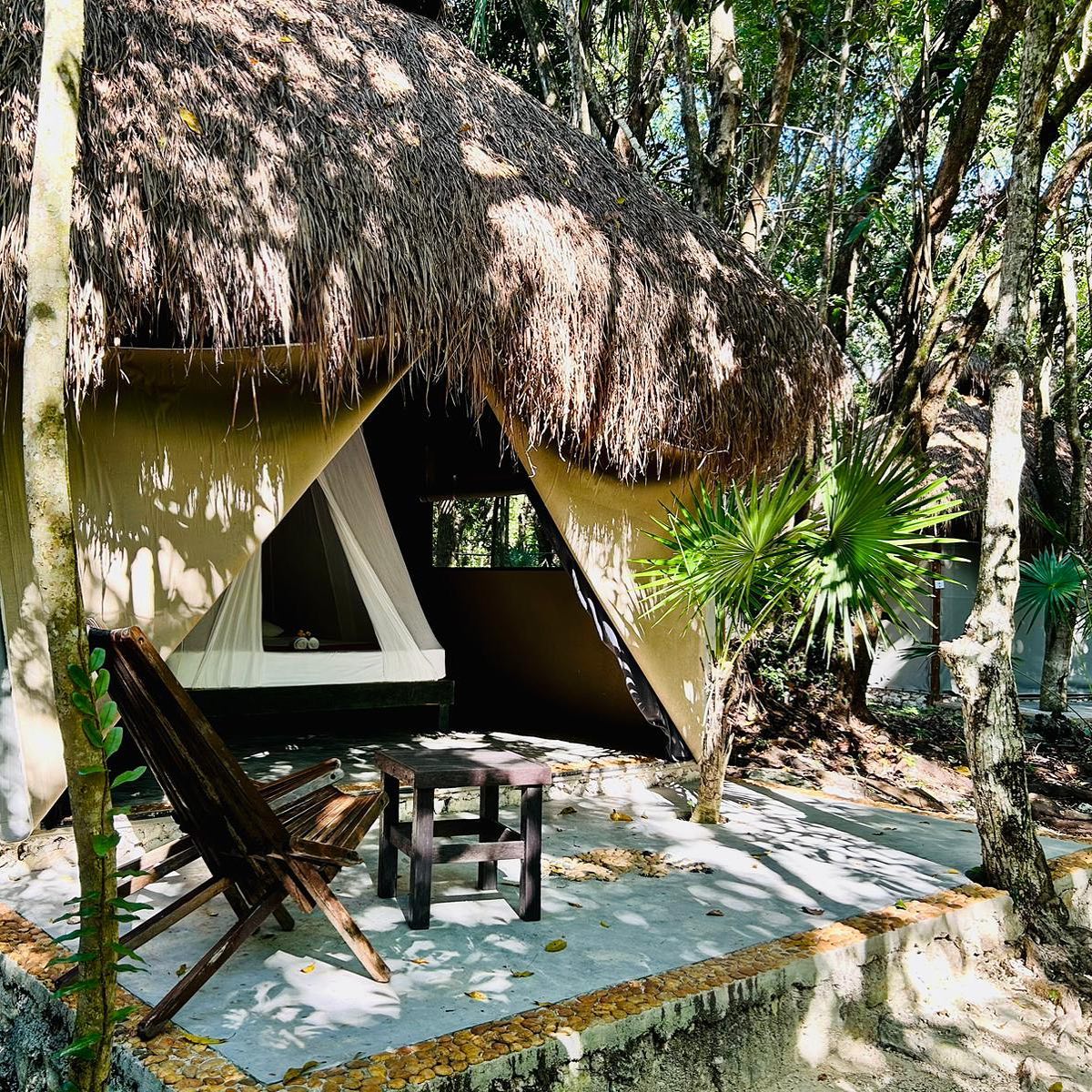 Wake up to breathtaking views at our tents, carefully designed to blend into the environment and offer you an unforgettable experience of reconnection. Book your stay with us!

#Akumal #Mexico #RivieraMaya #glamping #hotels #jungle #nature #travel